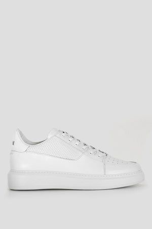 Perfetto Men's Leather Sneakers